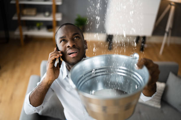 Best Carpet water damage restoration  in Fitchburg, MA