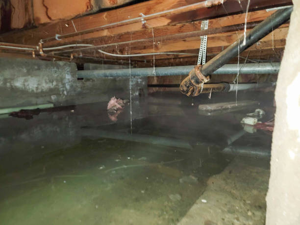 Best 24/7 water damage repair  in Fitchburg, MA