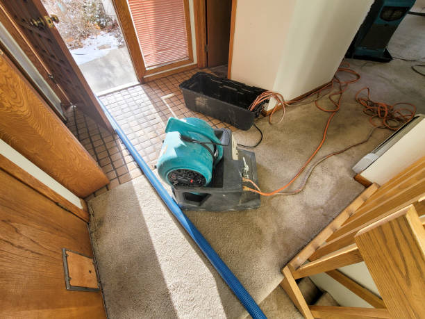 Best Flood damage cleanup  in Fitchburg, MA