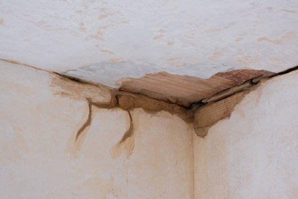 Best Water damage restoration near me  in Fitchburg, MA