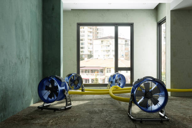 Best Basement water damage restoration  in Fitchburg, MA