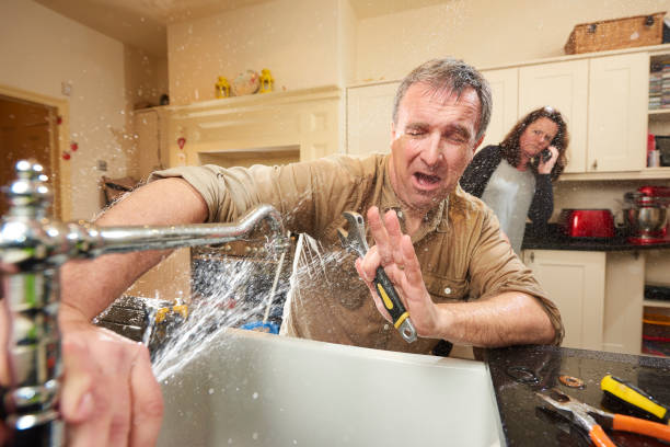Best Professional water damage repair  in Fitchburg, MA